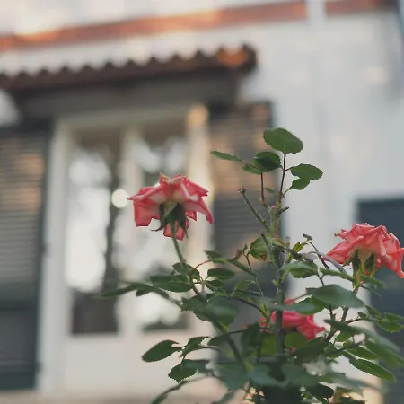 Bed & Breakfast Monti Colli del Tronto